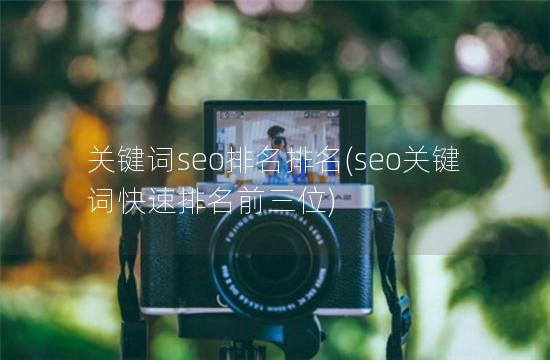 关键词seo排名排名(seo关键词快速排名前三位)