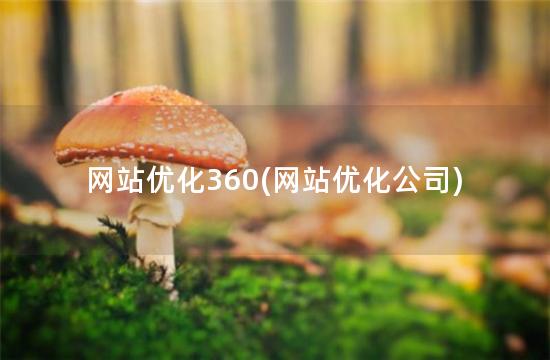 网站优化360(网站优化公司)